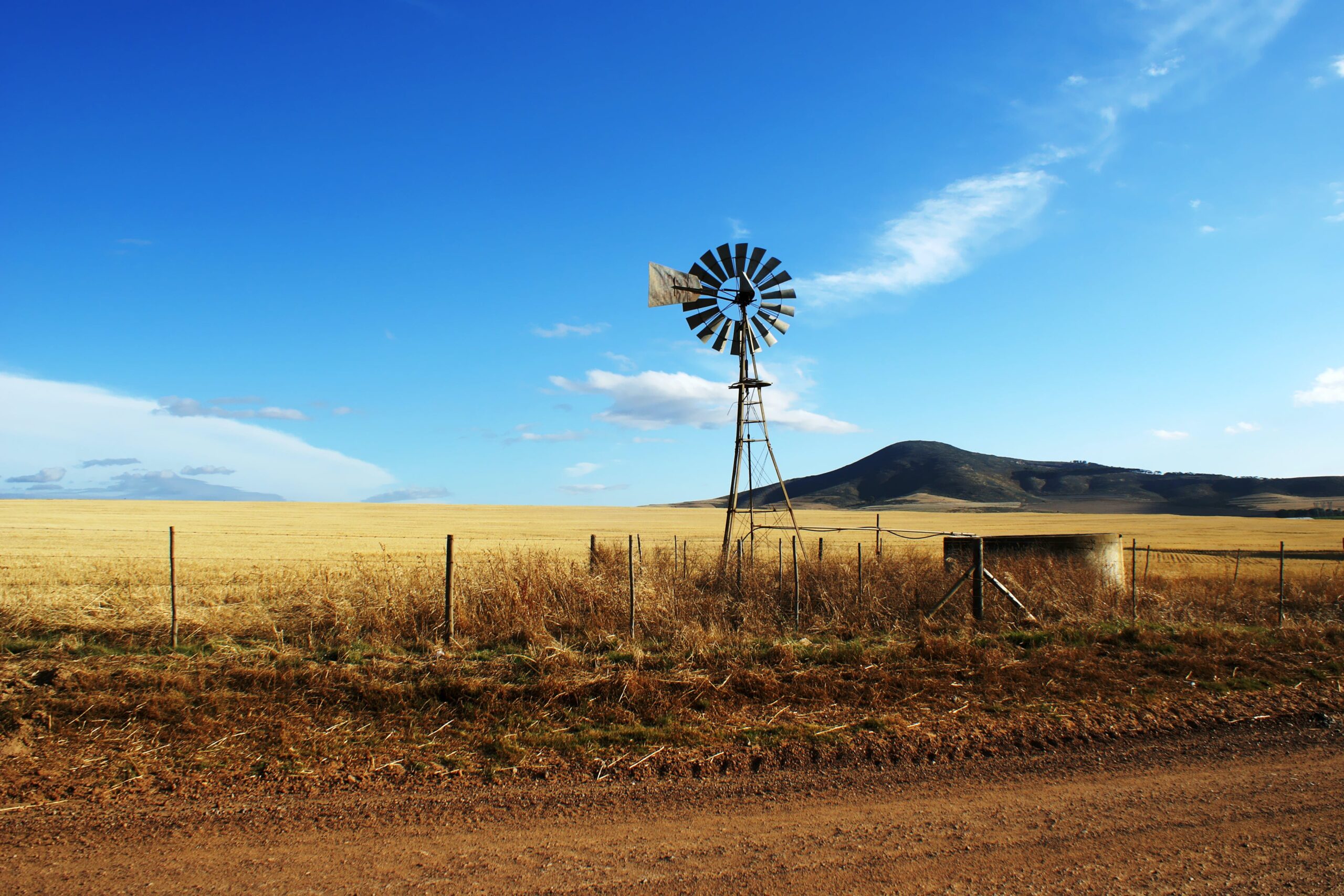 Una mirada del agro más cerquita de la vida cotidiana