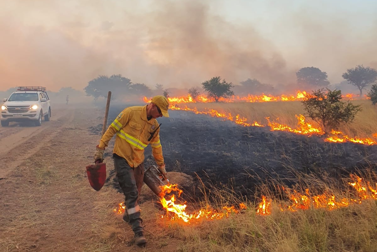 Defensa Civil intervino en 54 focos de incendios desde el inicio de la temporada