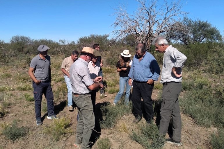 Ganaderos del semiárido reunidos en Chacharramendi