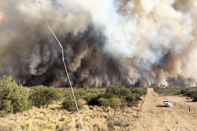 La temporada de incendios 2023-2024 finalizó con 52.766 hectáreas afectadas