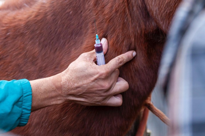 Nuevas regulaciones para evitar la resistencia antimicrobiana