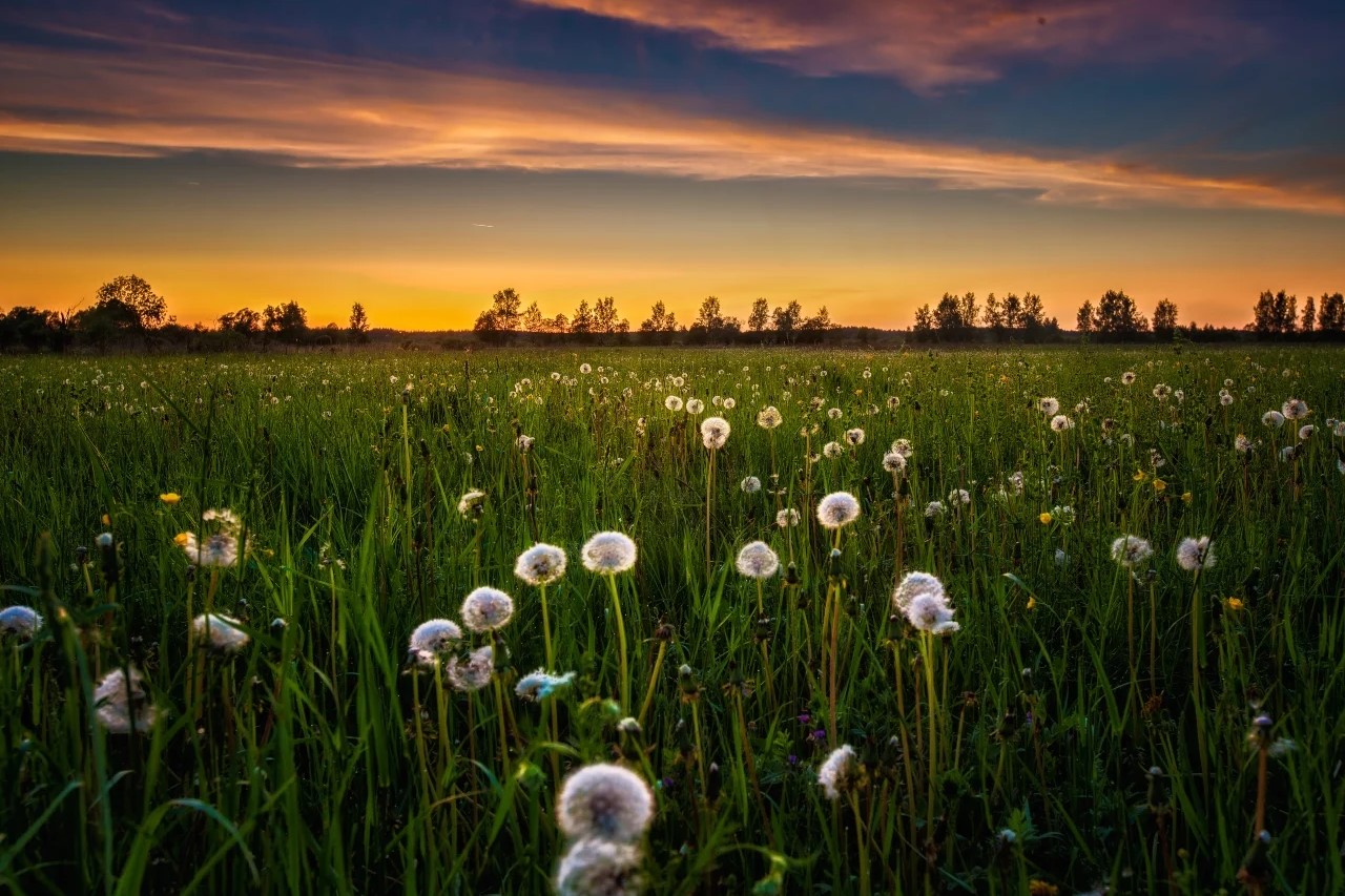 Anticipan meses con temperaturas dentro de la normalidad
