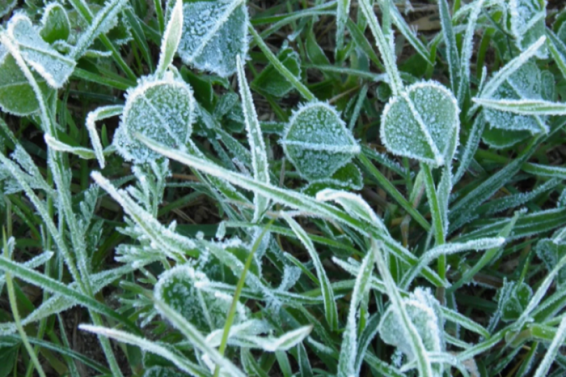 Un invierno con temperaturas más bajas para la región pampeana