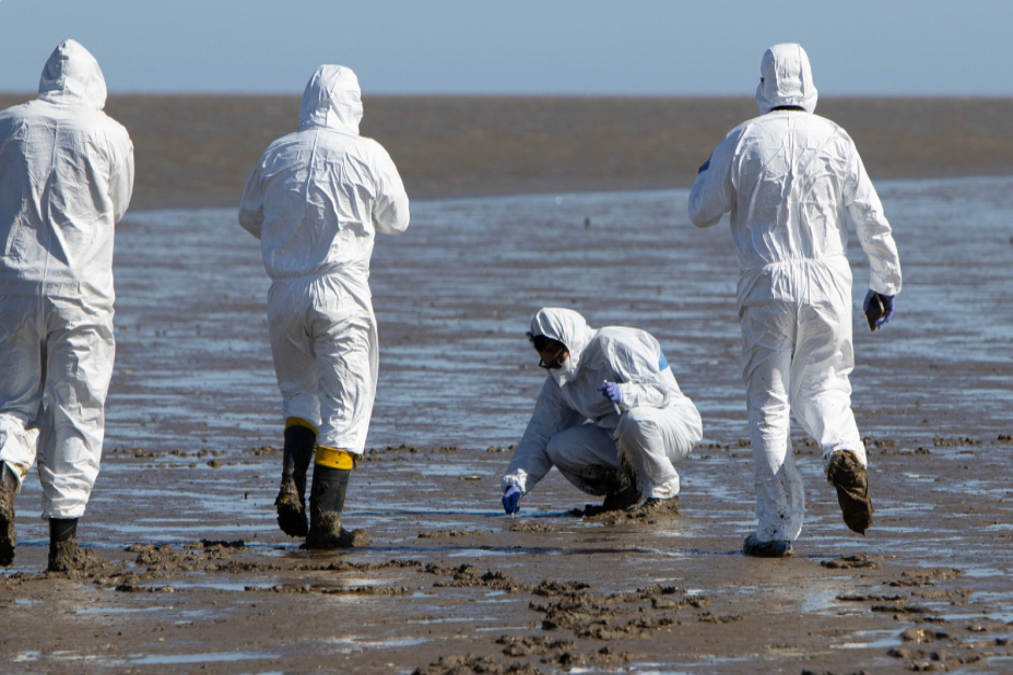 Nuevas herramientas para detección temprana de influenza aviar