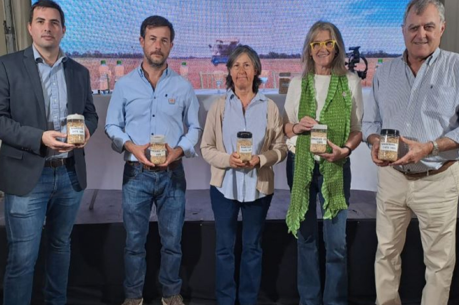 La primera avena apta celíacos de la Argentina ya es una realidad