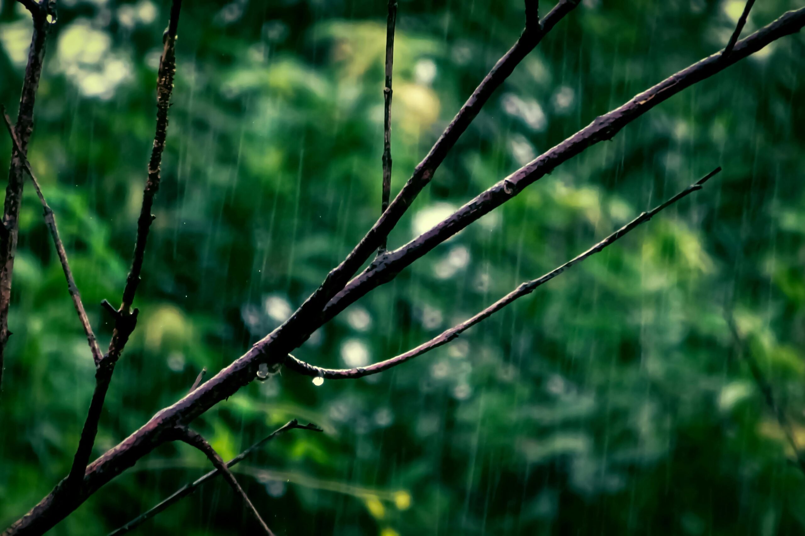 Ciclogénesis y retorno de las lluvias