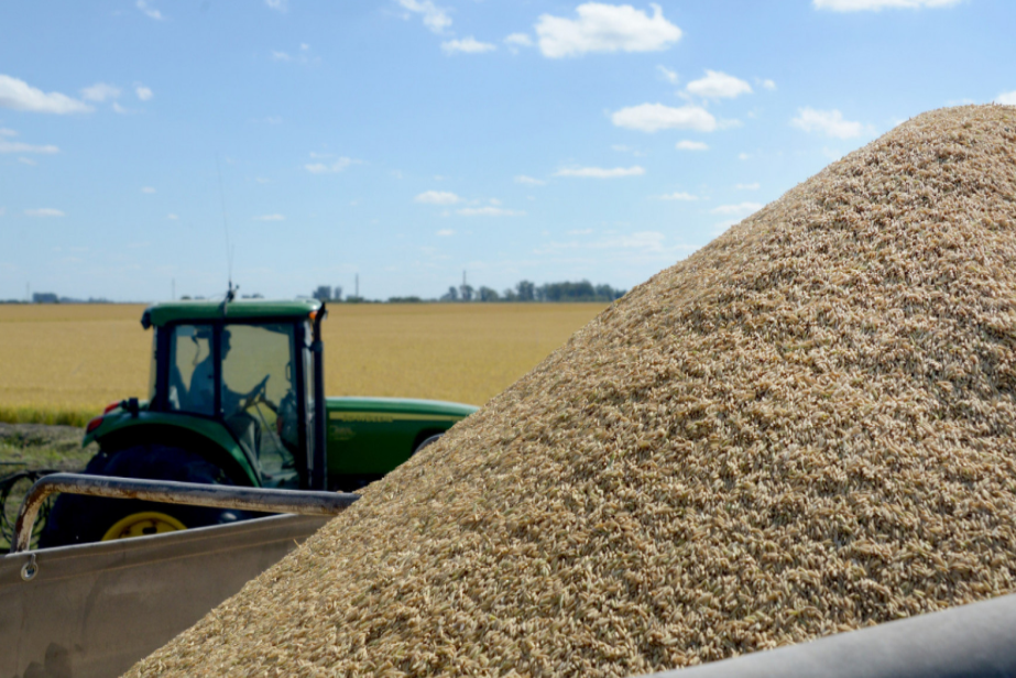 Las ventas externas agroindustriales subieron del 25% en volumen