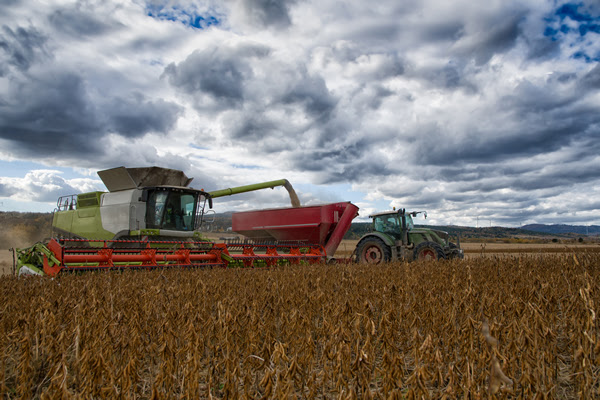 Una cosecha eficiente con la digitalización de la gestión agropecuaria