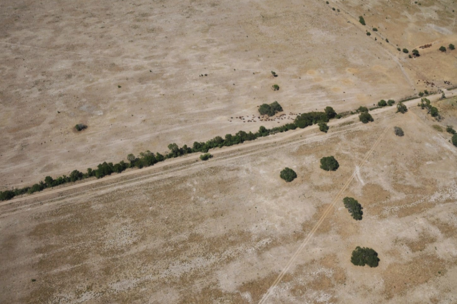 Emergencia agropecuaria para Chaco y Santa Fe