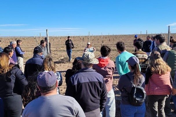 Acciones para impulsar los frutos secos en la provincia