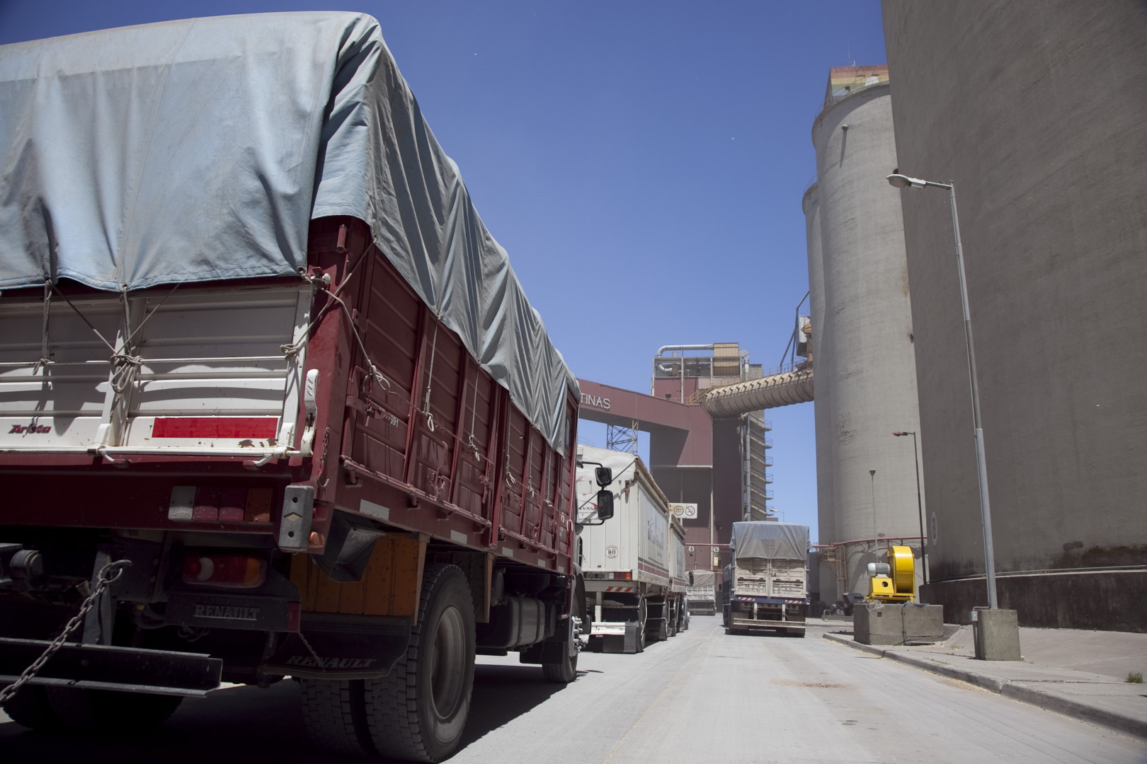 Los principales agroproductos con un mayor valor exportable en el trimestre
