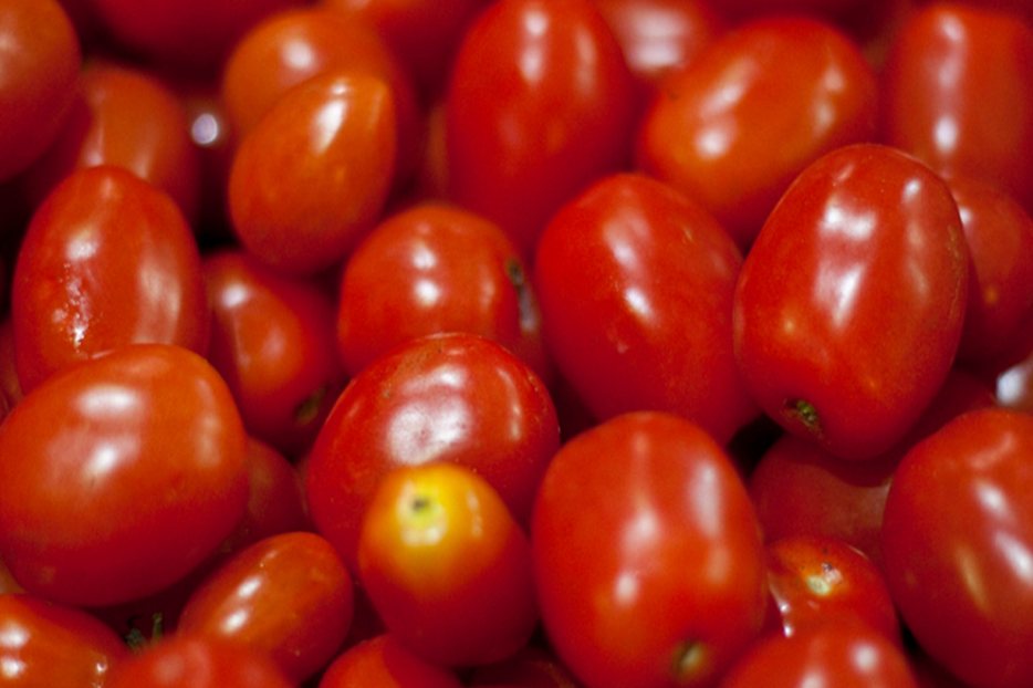 La calidad del tomate con los estándares del Mercosur