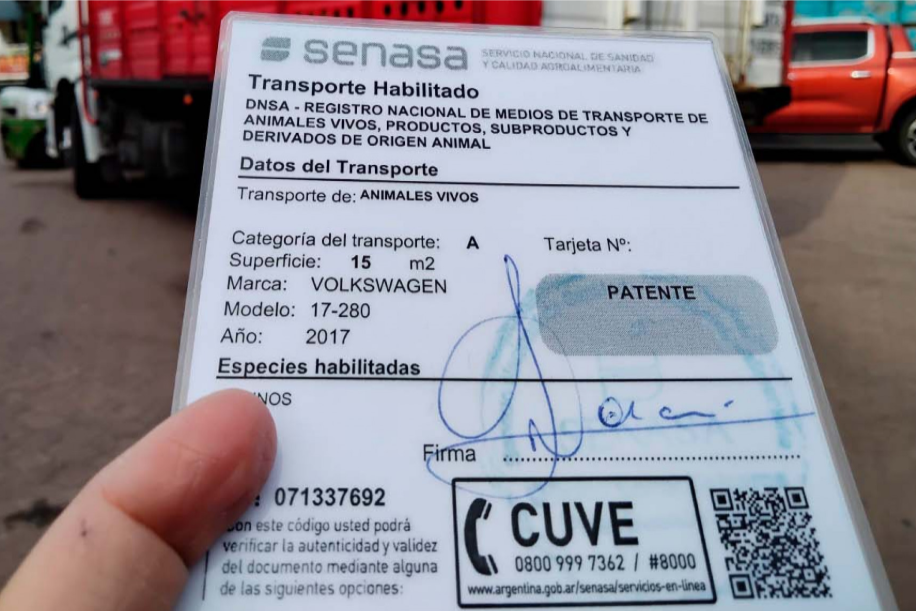 Habilitan al transporte multiespecie y bitren