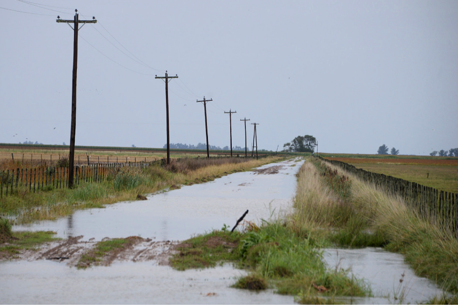 Nación confirmó la emergencia agropecuaria para Buenos Aires y San Juan