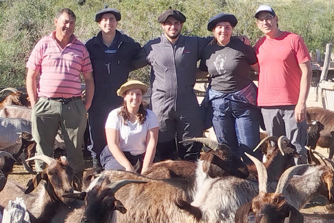 Estudiantes de veterinarias realizaron prácticas en el oeste