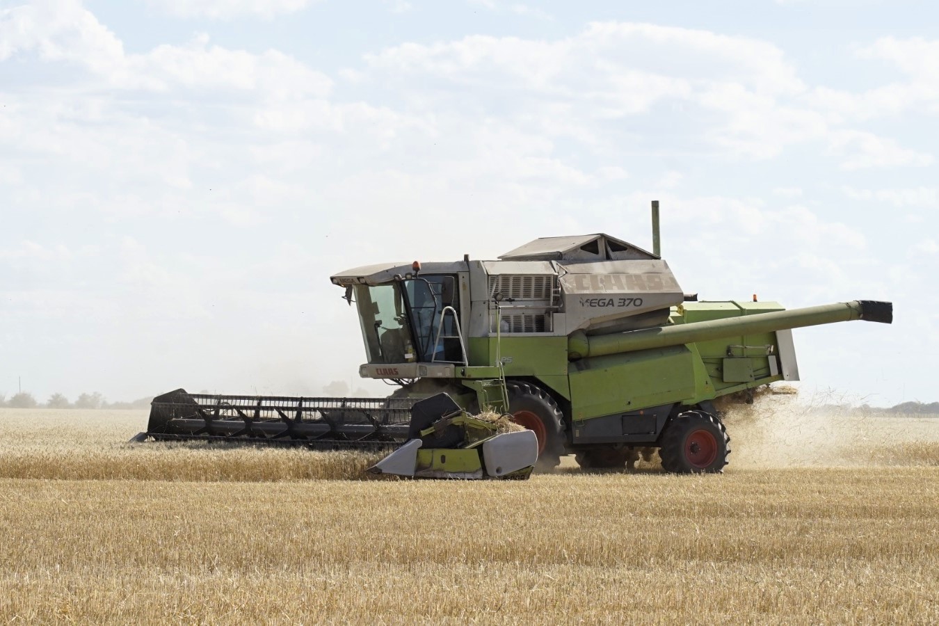 Una campaña de fina histórica para La Pampa