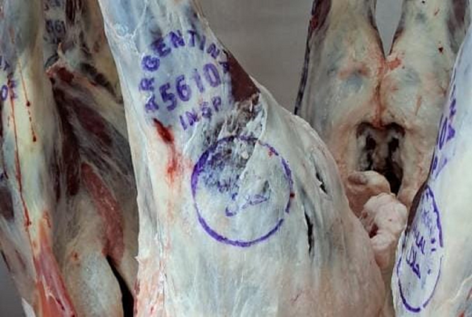 Entre Ríos volvió a exportar carne ovina a Medio Oriente