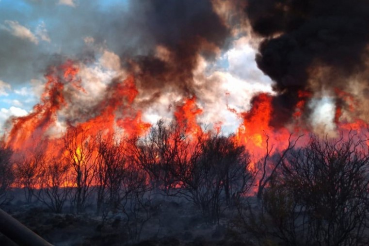 Defensa Civil solicitó precaución para prevenir incendios rurales