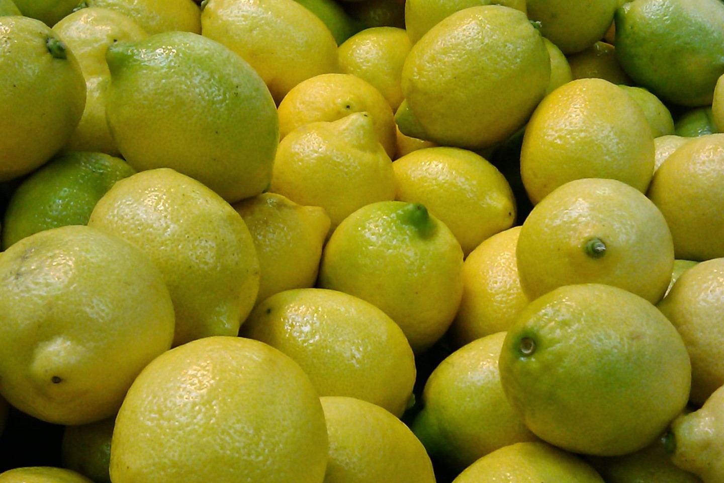 Cítricos: Acuerdan mejoras para la exportación a Japón