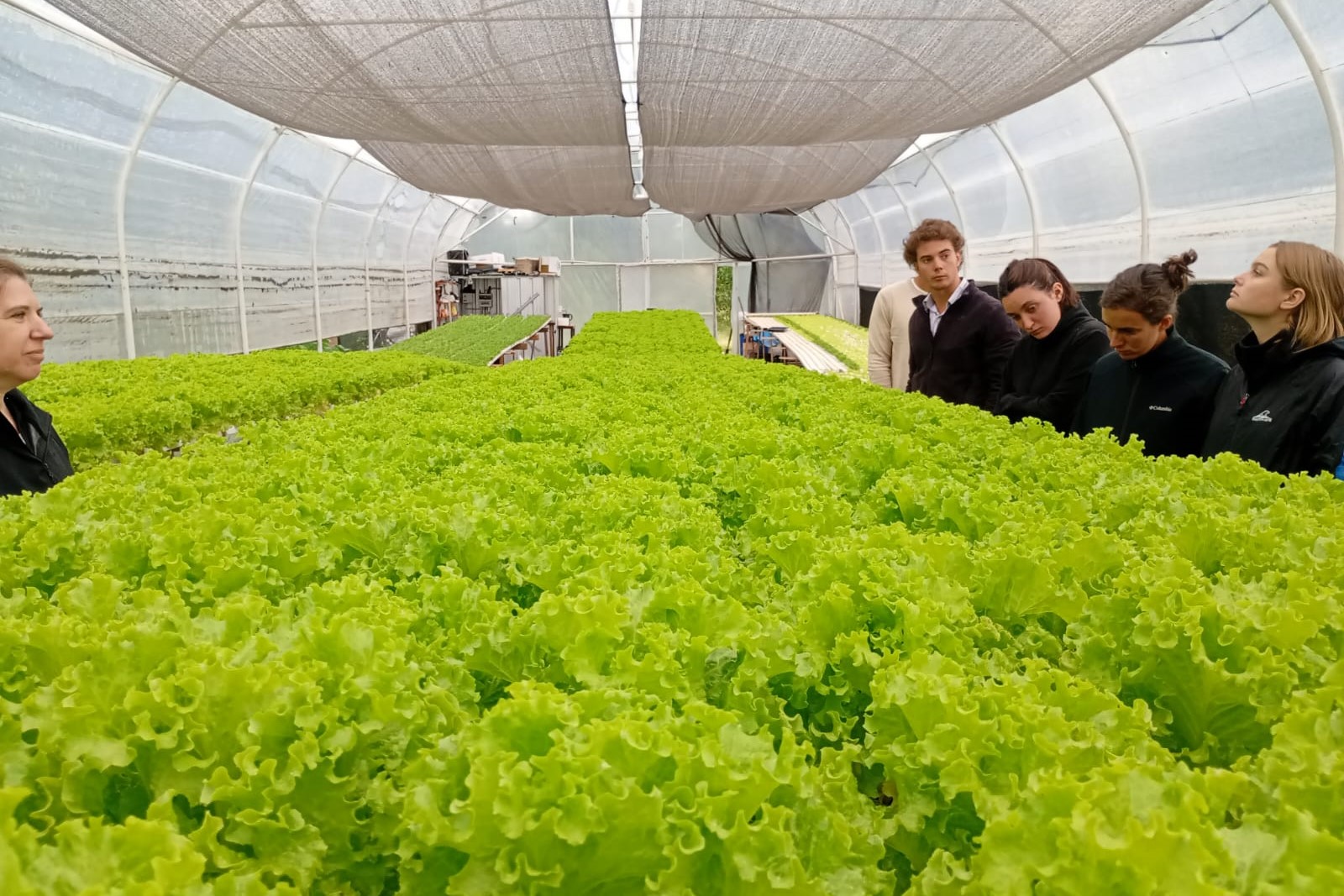 Visita de la UBA a experiencias bajo cubierta