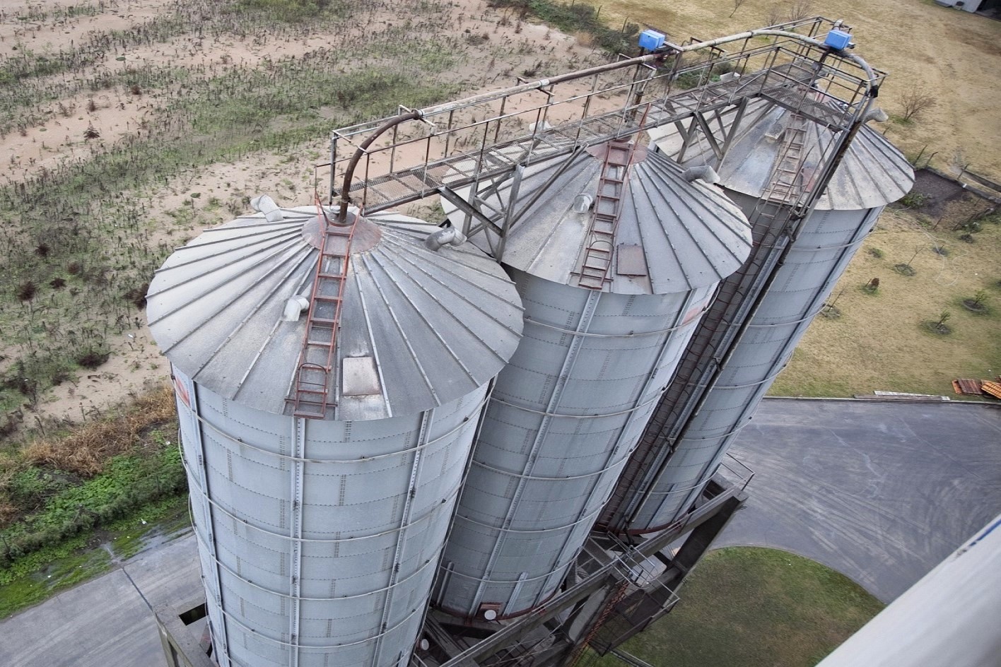 La capacidad molinera puede sumar miles de toneladas de trigo