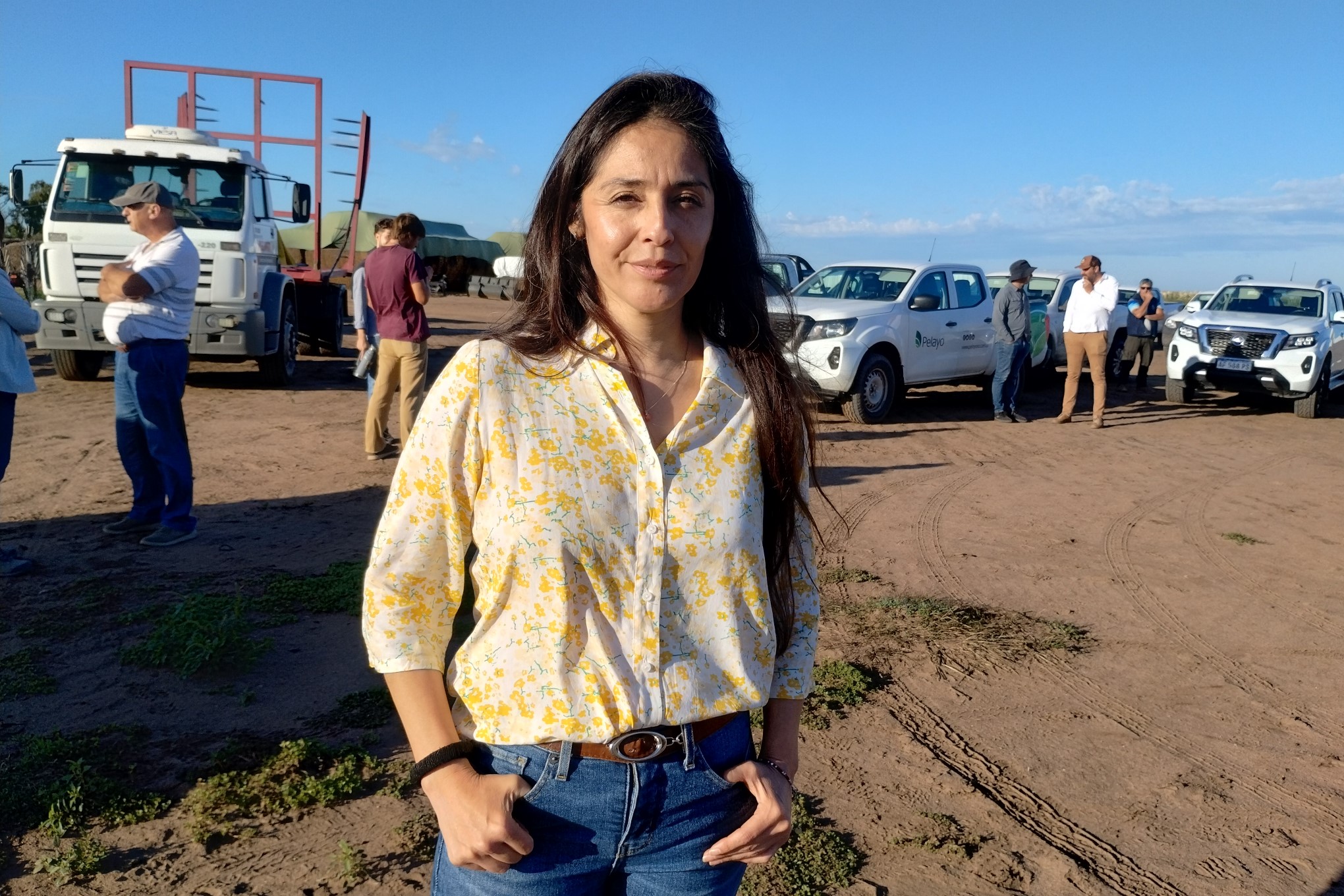 Rindes desparejos para el girasol pampeano