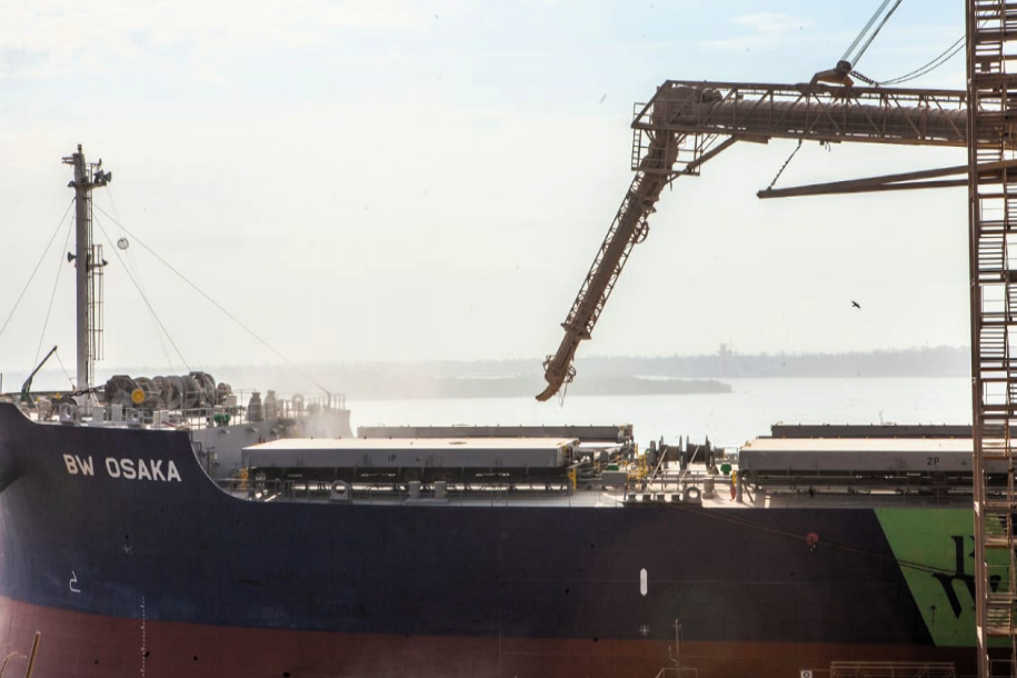 Girasol: Inicia la inscripción de exportadores a China