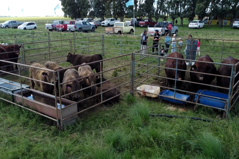 Más de 500 productores en la primera Jornada a Campo 2026 del IPCVA