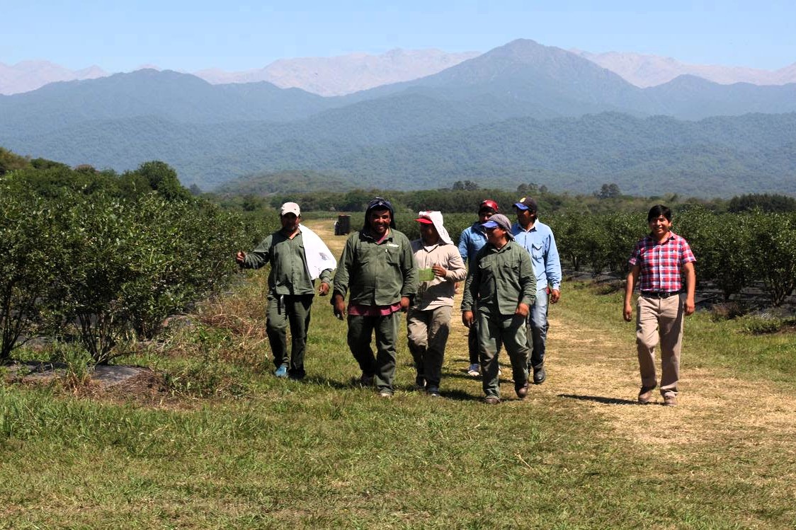 RENATRE y la OIT publicaron un informe sobre el trabajo rural