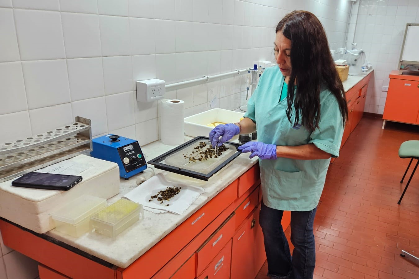 Desde G. Pico contribuyendo a las sanidad apícola
