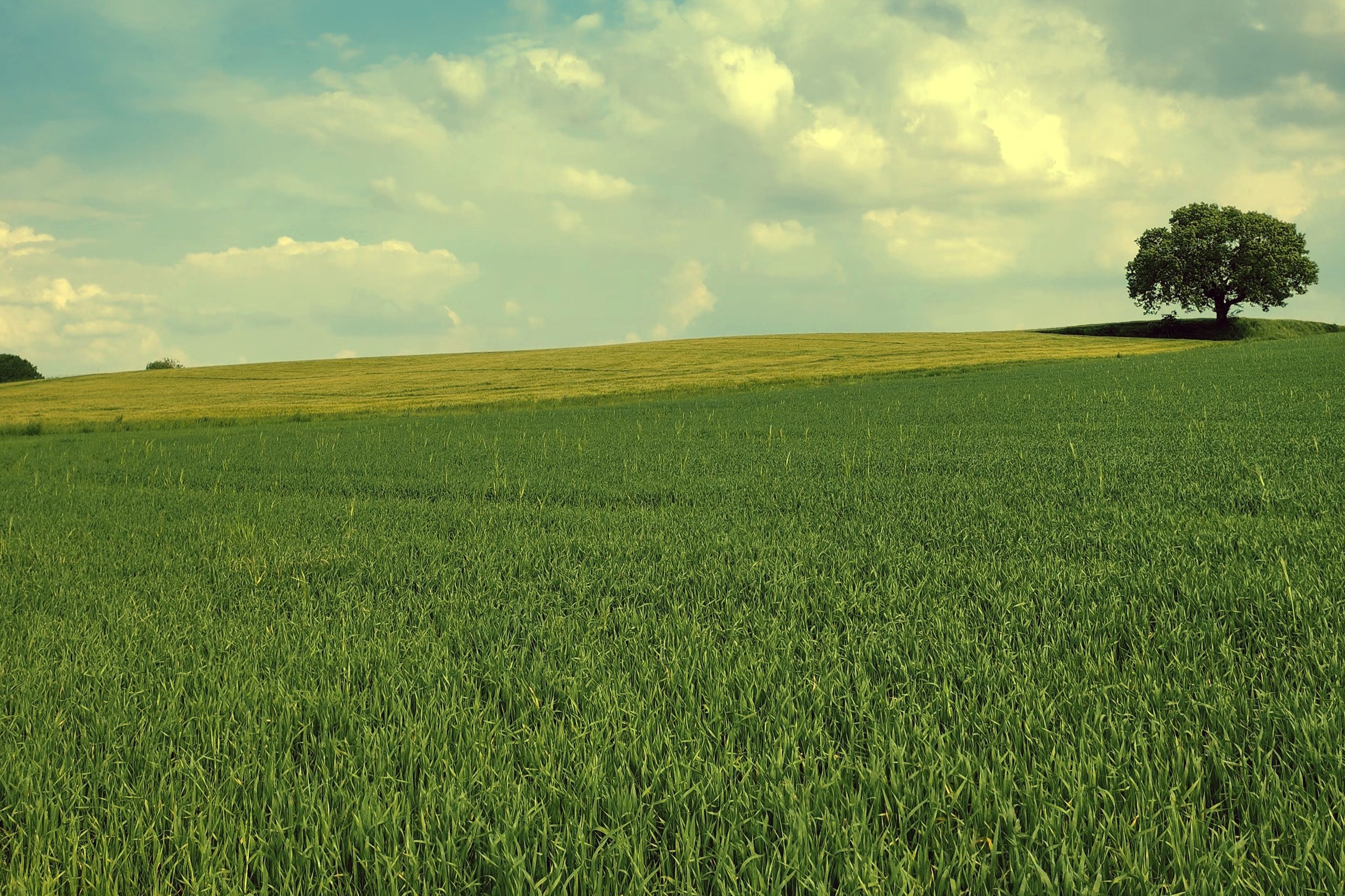 La fertilidad no se negocia en la región semiárida