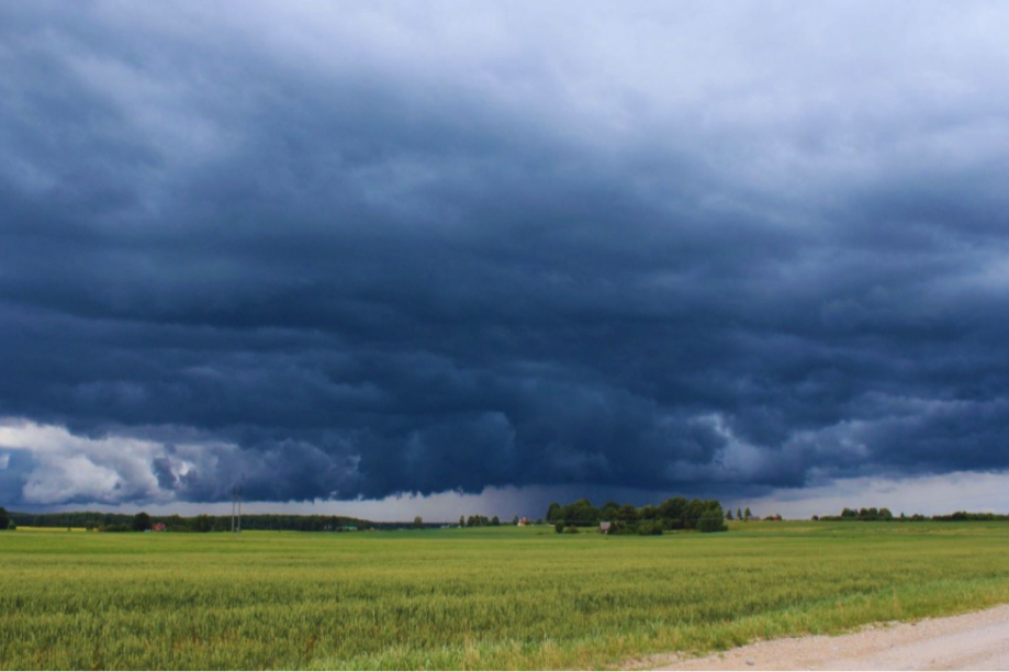 El fenómeno El Niño se afianzaría en primavera