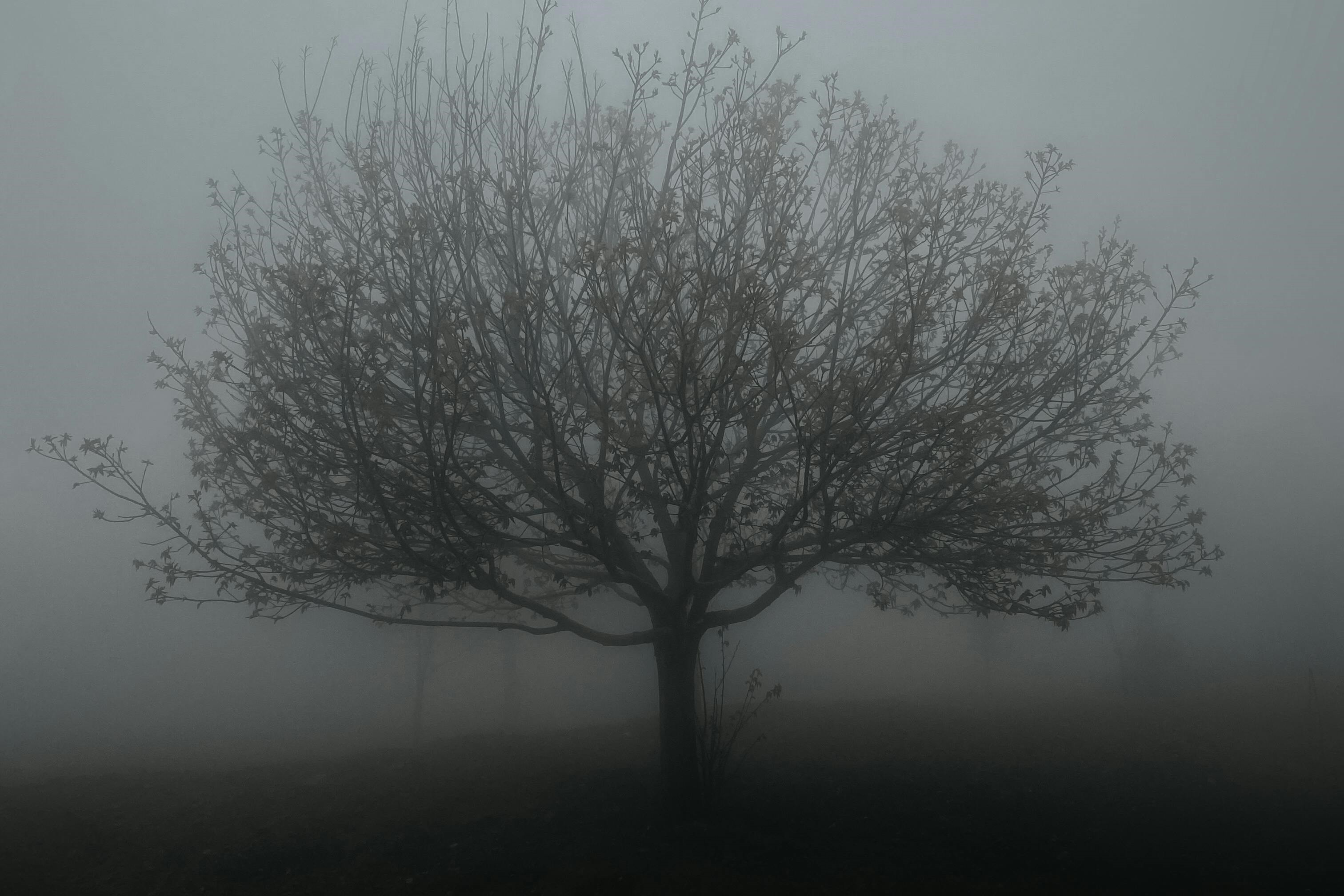 Ascenso de temperaturas y niebla para cerrar mayo