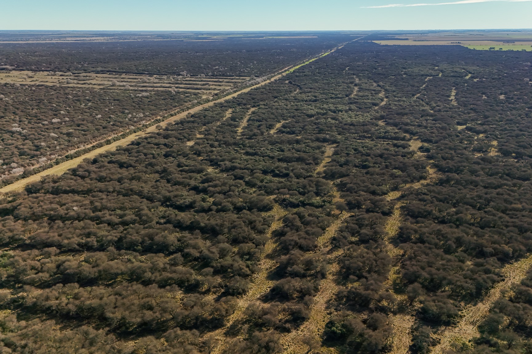 Productores mostraron los resultados del manejo de bosque nativo