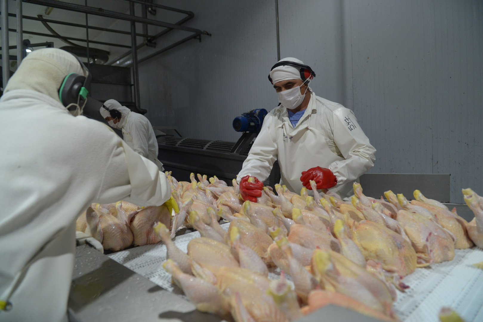 Reapertura del mercado de la UE para exportar carne fresca aviar