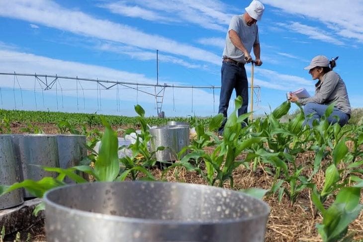 Ensayos sobre uso del agua en los valles irrigados