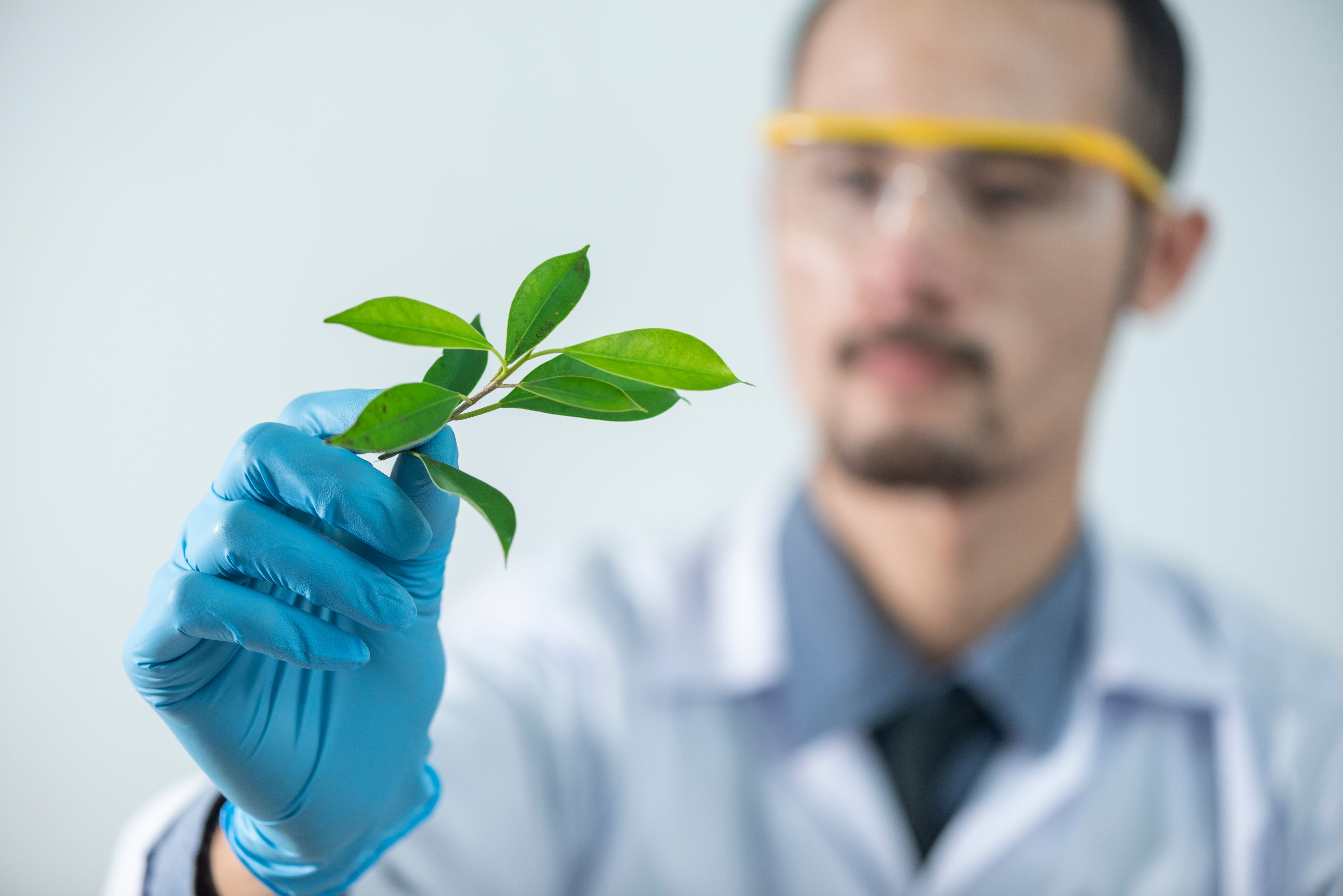 CABIO fortalece la agenda regional de bioinsumos