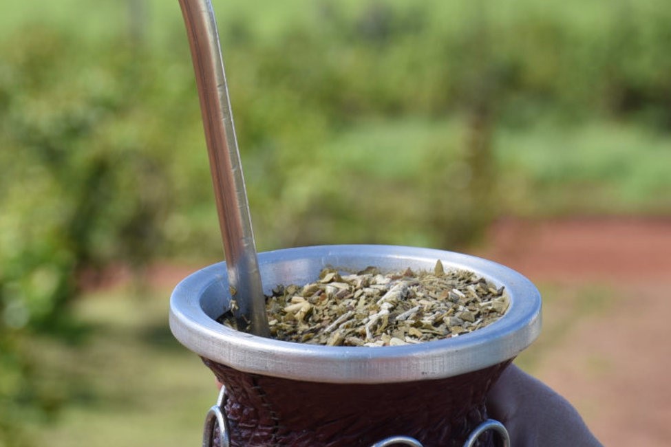 El primer semestre con 163 millones de kilos de yerba mate