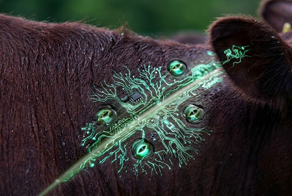 Nanotecnología para el agro y veterinarios: 2° convocatoria de becas posgrado