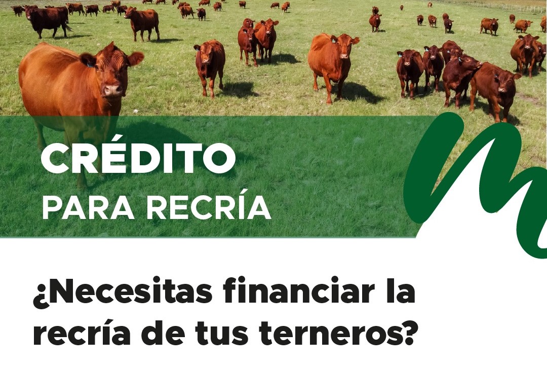 Recuerdan las líneas financieras para el agro pampeano