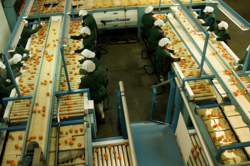 Simplifican el registro en la cadena de vegetales